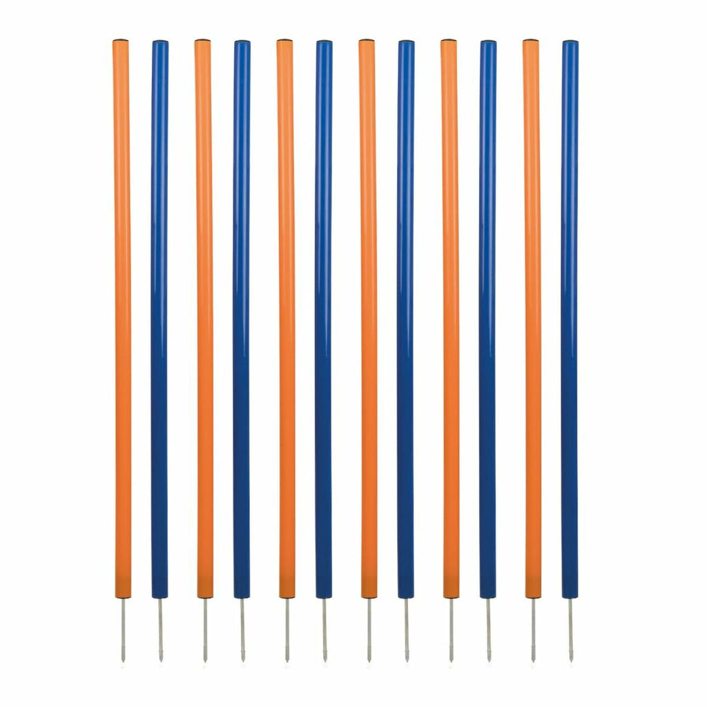 V5H0E1D33632766FA60CE1E5A698BCAF1E9R5763181P1