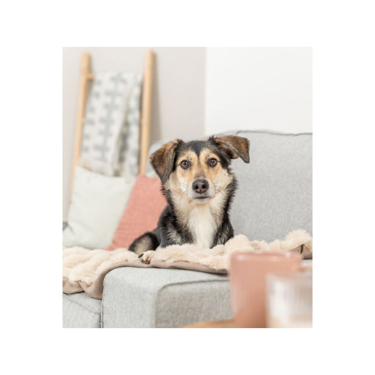 V5H640FA7C7317119D3F9F825F0868DADBFR7452677P3