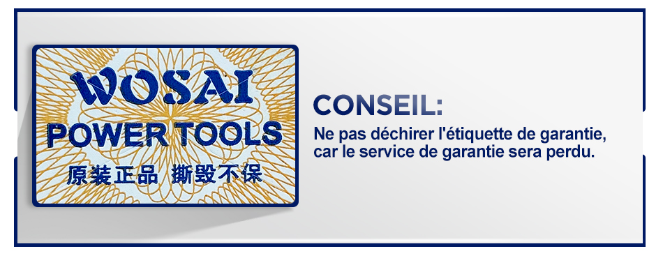 12V 16V 20V tournevis électrique