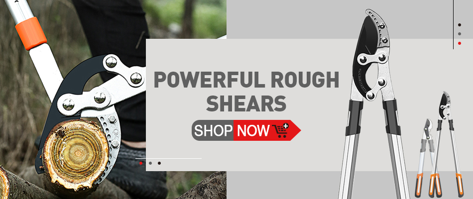 DTBD – Set de Ciseaux pour Plantes