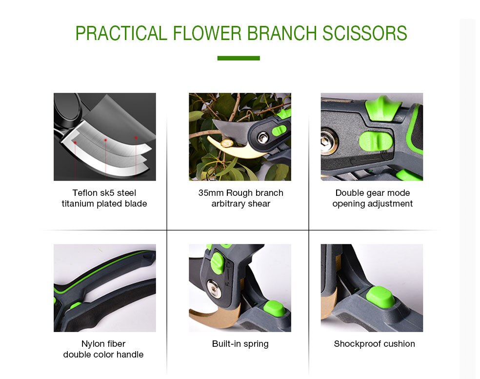DTBD – Set de Ciseaux pour Plantes