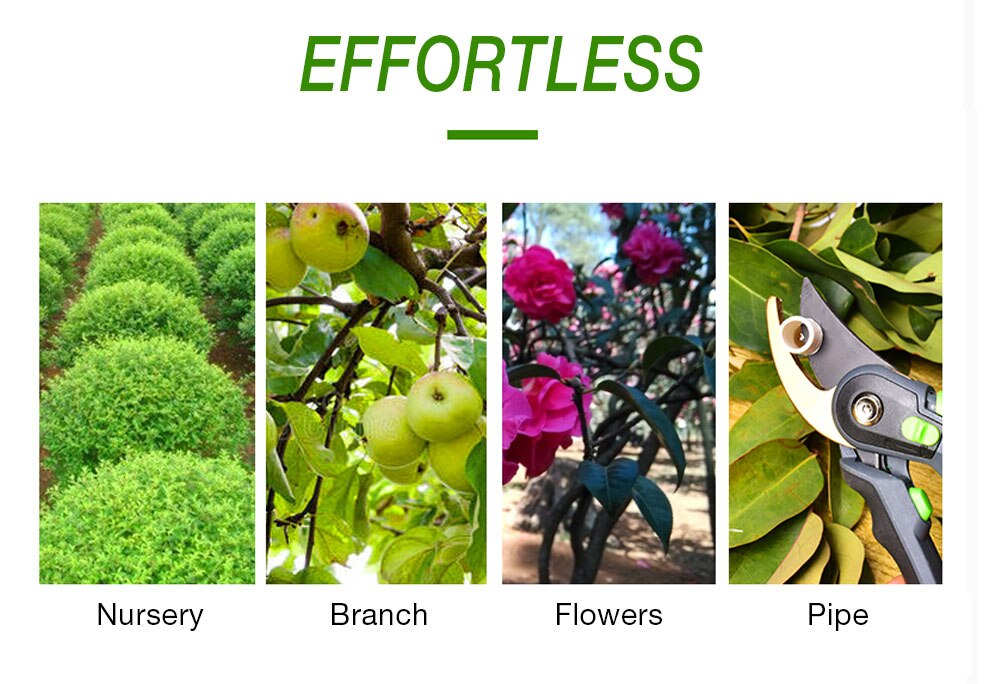 DTBD – Set de Ciseaux pour Plantes
