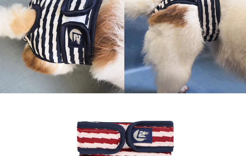 Culotte lavable pour chien, sous-vêtement menstruel, culotte, combinaison pour animal domestique, hygiénique