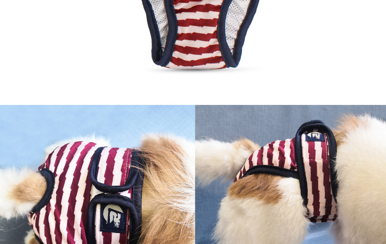 Culotte lavable pour chien, sous-vêtement menstruel, culotte, combinaison pour animal domestique, hygiénique