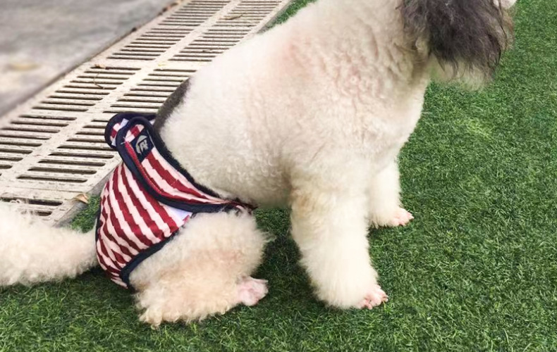 Culotte lavable pour chien, sous-vêtement menstruel, culotte, combinaison pour animal domestique, hygiénique