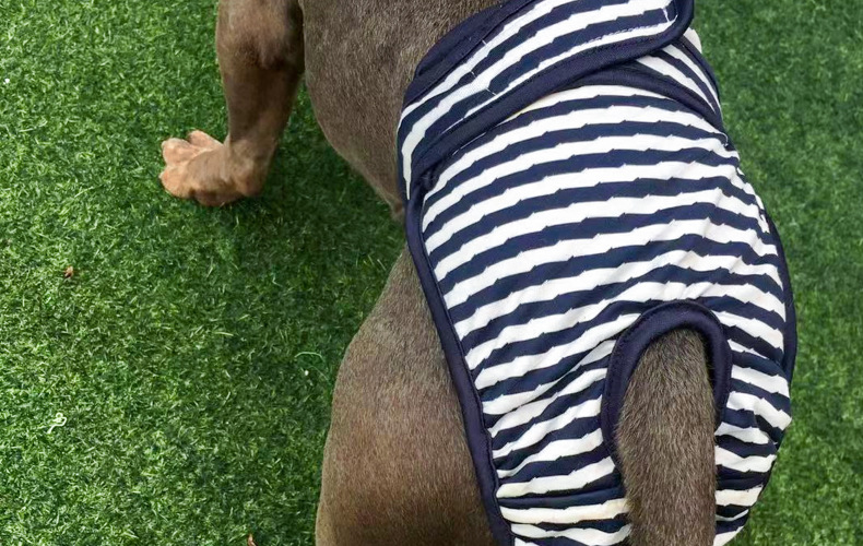 Culotte lavable pour chien, sous-vêtement menstruel, culotte, combinaison pour animal domestique, hygiénique