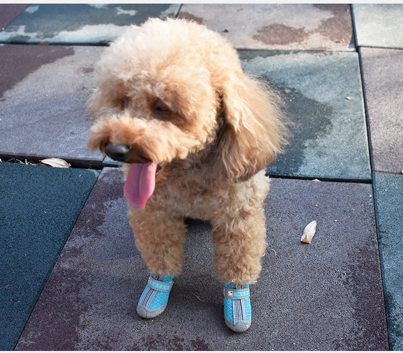 Chaussures réfléchissantes et imperméables pour chien, lot de 4 pièces, bottines chaudes, antidérapantes, idéales pour la neige et la pluie