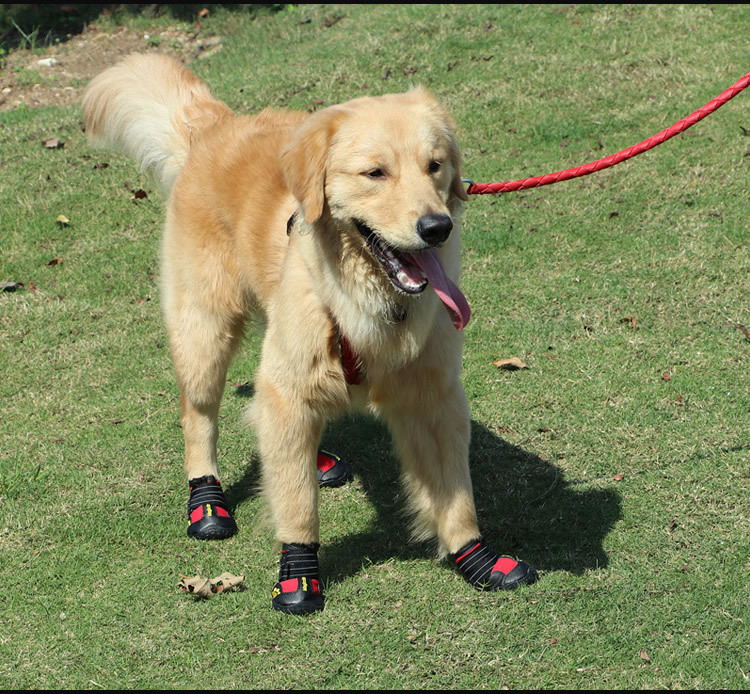 Chaussures réfléchissantes et imperméables pour chien, lot de 4 pièces, bottines chaudes, antidérapantes, idéales pour la neige et la pluie