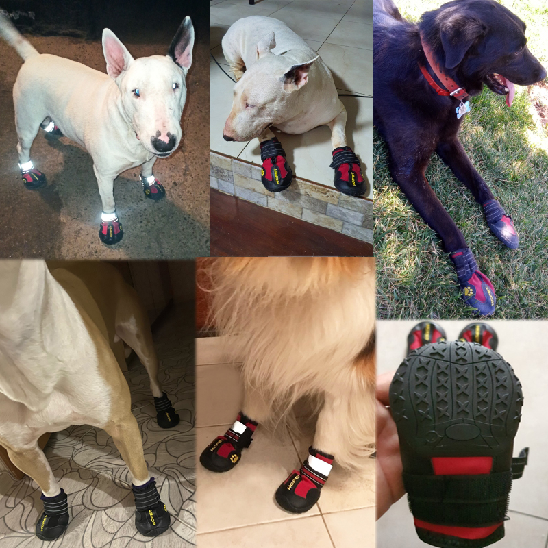 Chaussures réfléchissantes et imperméables pour chien, lot de 4 pièces, bottines chaudes, antidérapantes, idéales pour la neige et la pluie