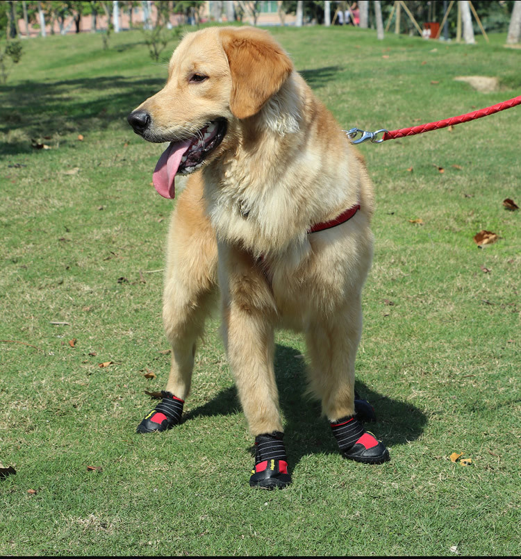 Chaussures réfléchissantes et imperméables pour chien, lot de 4 pièces, bottines chaudes, antidérapantes, idéales pour la neige et la pluie