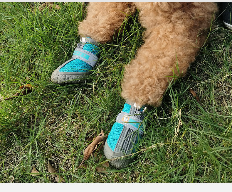 Chaussures réfléchissantes et imperméables pour chien, lot de 4 pièces, bottines chaudes, antidérapantes, idéales pour la neige et la pluie