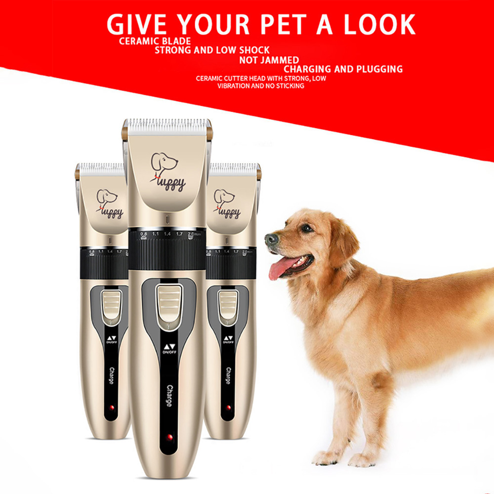 Tondeuse à cheveux pour chien et chat, toilettage, coupe de cheveux, rasoir pour animaux de compagnie, ensemble complet, Rechargeable, rasoir professionnel, Machine de coupe