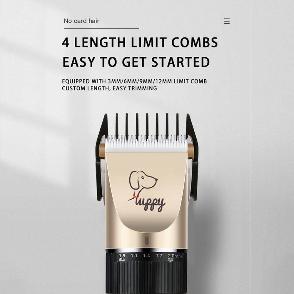 Tondeuse à cheveux pour chien et chat, toilettage, coupe de cheveux, rasoir pour animaux de compagnie, ensemble complet, Rechargeable, rasoir professionnel, Machine de coupe