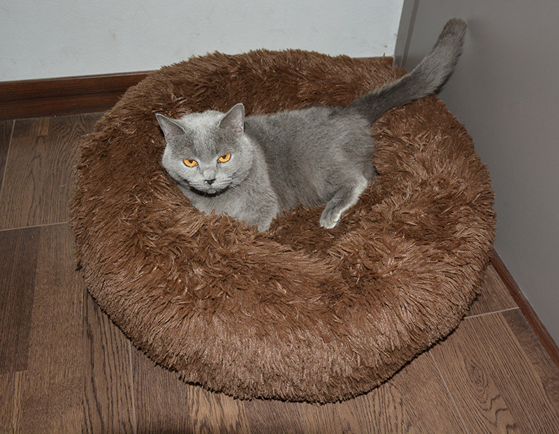 Lit rond et confortable pour chien et chat, niche Ultra douce et lavable, coussin chaud pour l'hiver, pour niche, livraison directe