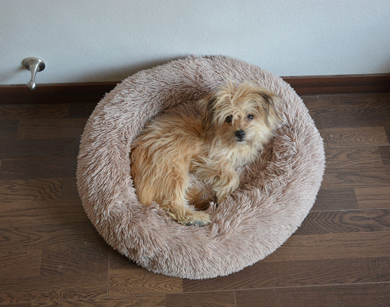 Lit rond et confortable pour chien et chat, niche Ultra douce et lavable, coussin chaud pour l'hiver, pour niche, livraison directe