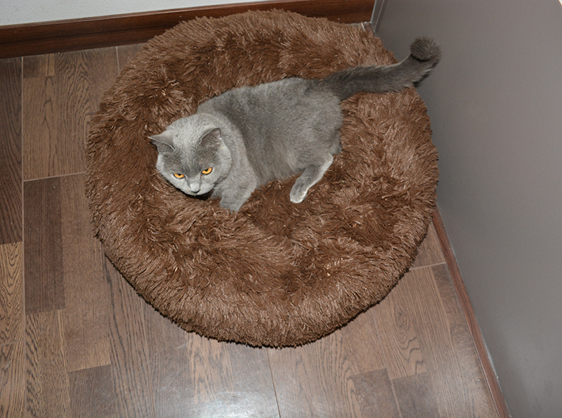 Lit rond et confortable pour chien et chat, niche Ultra douce et lavable, coussin chaud pour l'hiver, pour niche, livraison directe
