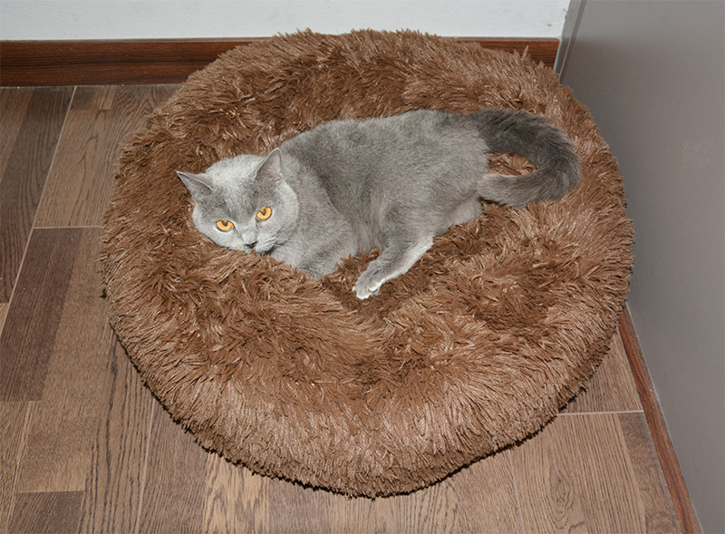 Lit rond et confortable pour chien et chat, niche Ultra douce et lavable, coussin chaud pour l'hiver, pour niche, livraison directe