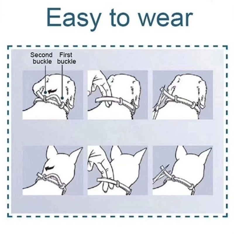 Collier insectifuge Chien Puces Prévention Anti Tiques Parasites Collier pour les Grands Petits Chiens Chat Anti Puces et Tiques Collier Fournitures Pour Animaux de compagnie Collier insectifuge Chien Puces Prévention Anti Tiques Parasites Collier pour les Grands Petits Chiens Chat Anti Puces et Tiques Collier Fournitures Pour Animaux de compagnie