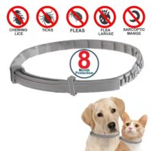 Collier insectifuge Chien Puces Prévention Anti Tiques Parasites Collier pour les Grands Petits Chiens Chat Anti Puces et Tiques Collier Fournitures Pour Animaux de compagnie