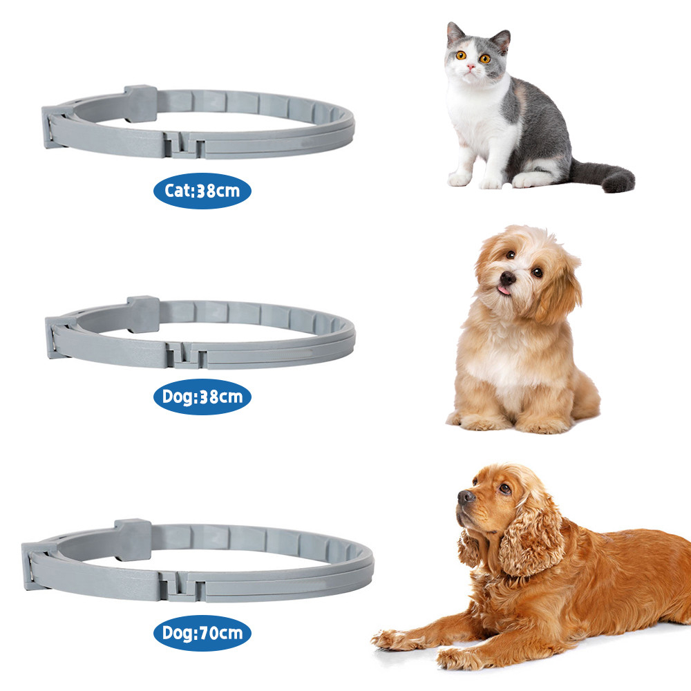 Collier insectifuge Chien Puces Prévention Anti Tiques Parasites Collier pour les Grands Petits Chiens Chat Anti Puces et Tiques Collier Fournitures Pour Animaux de compagnie Collier insectifuge Chien Puces Prévention Anti Tiques Parasites Collier pour les Grands Petits Chiens Chat Anti Puces et Tiques Collier Fournitures Pour Animaux de compagnie