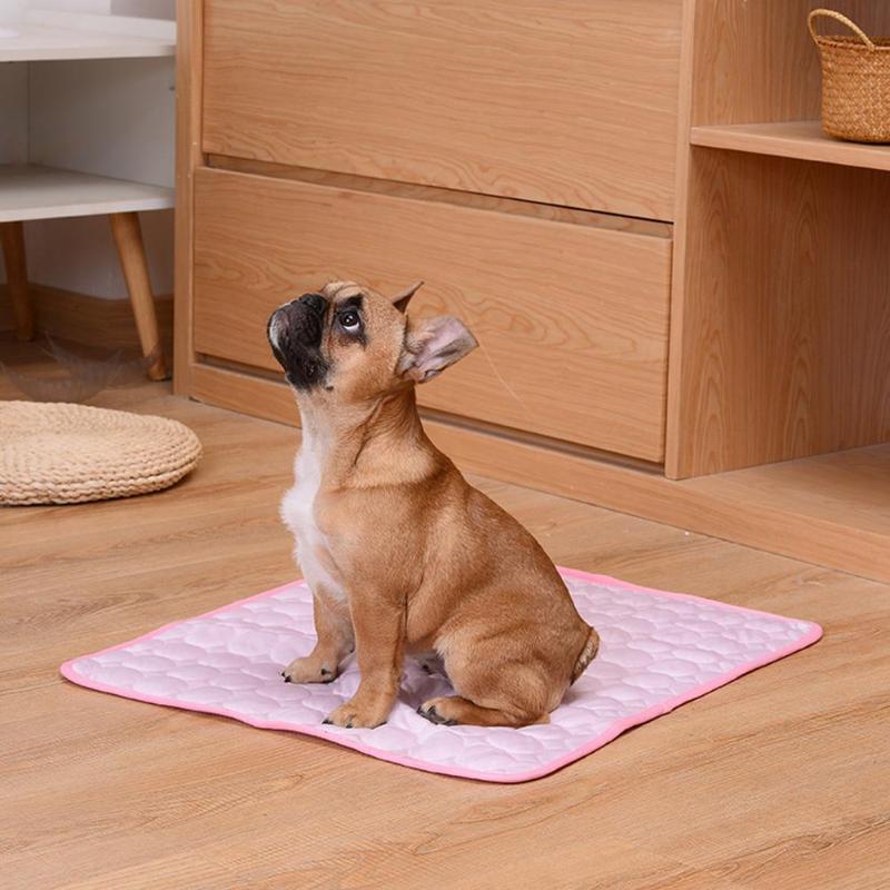Livraison gratuite Tapis rafraîchissant pour animaux de compagnie, accessoire d'été, pour chiens et chats, canapé, respirant, lavable, pour les petits, moyens et grands chiots et chatons, pour vo
