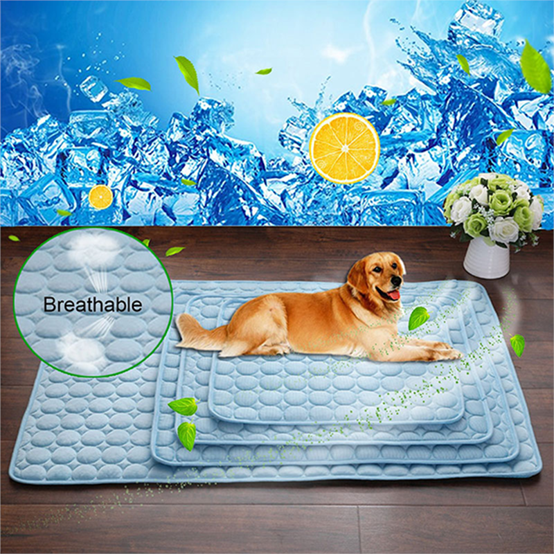Livraison gratuite Tapis rafraîchissant pour animaux de compagnie, accessoire d'été, pour chiens et chats, canapé, respirant, lavable, pour les petits, moyens et grands chiots et chatons, pour vo