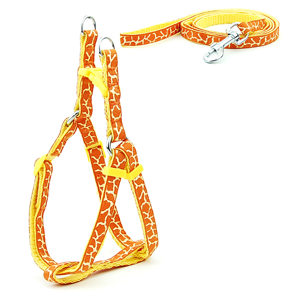 Petit chien chat harnais laisse gilet réglable collier chiot marche en plein air Chihuahua Terier Schnauzer