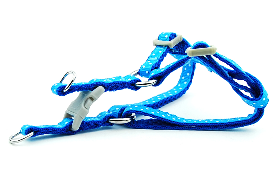 Petit chien chat harnais laisse gilet réglable collier chiot marche en plein air Chihuahua Terier Schnauzer