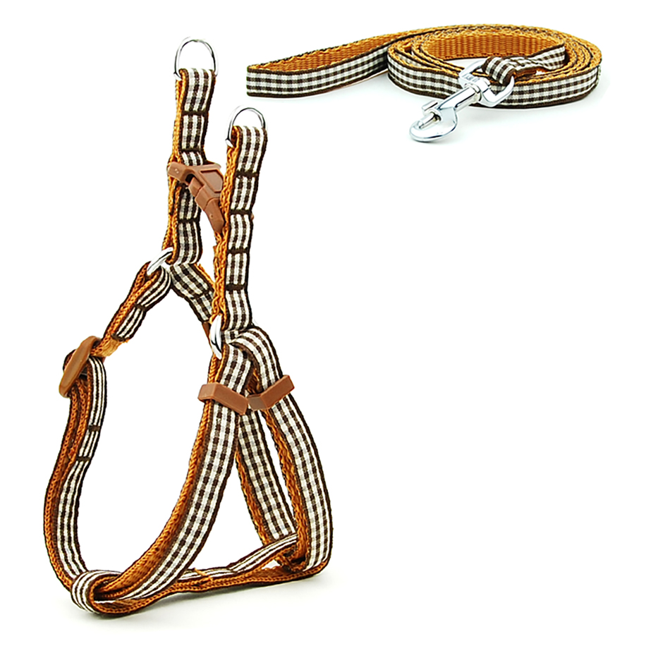 Petit chien chat harnais laisse gilet réglable collier chiot marche en plein air Chihuahua Terier Schnauzer