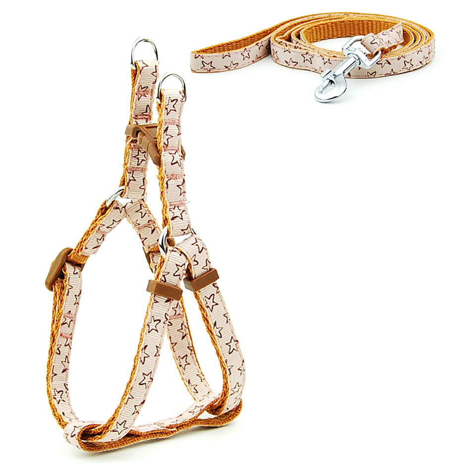 Petit chien chat harnais laisse gilet réglable collier chiot marche en plein air Chihuahua Terier Schnauzer