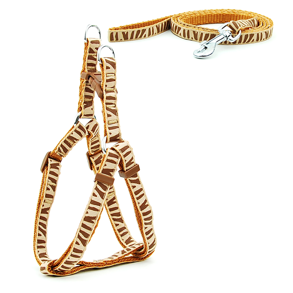 Petit chien chat harnais laisse gilet réglable collier chiot marche en plein air Chihuahua Terier Schnauzer