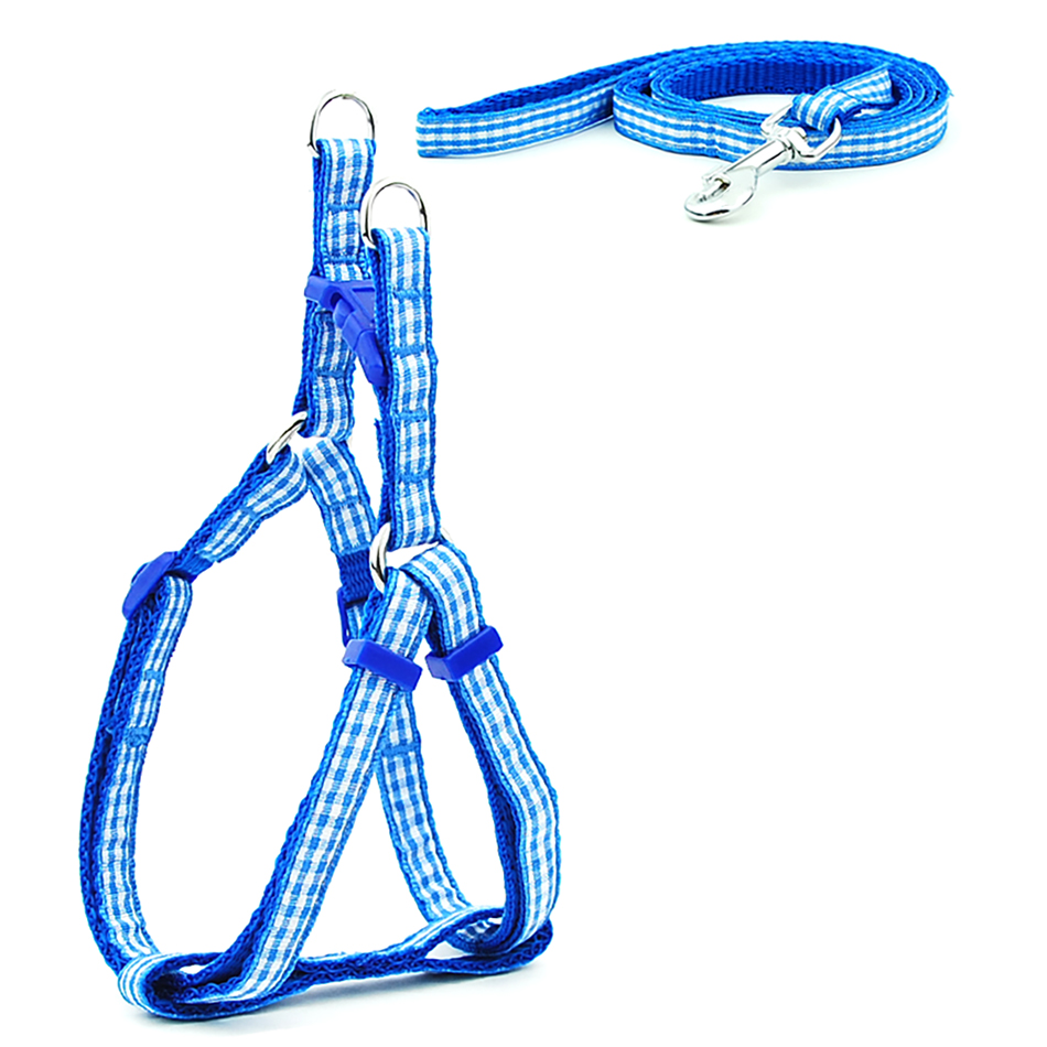 Petit chien chat harnais laisse gilet réglable collier chiot marche en plein air Chihuahua Terier Schnauzer