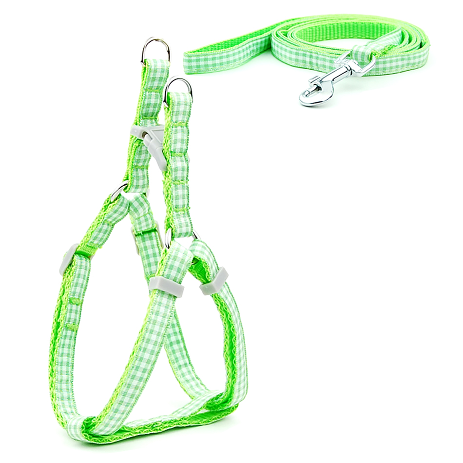 Petit chien chat harnais laisse gilet réglable collier chiot marche en plein air Chihuahua Terier Schnauzer