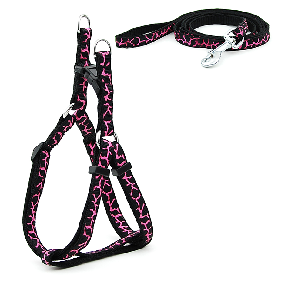 Petit chien chat harnais laisse gilet réglable collier chiot marche en plein air Chihuahua Terier Schnauzer