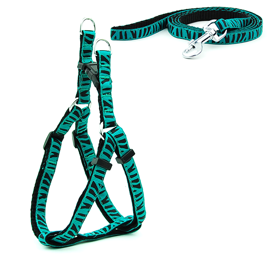 Petit chien chat harnais laisse gilet réglable collier chiot marche en plein air Chihuahua Terier Schnauzer