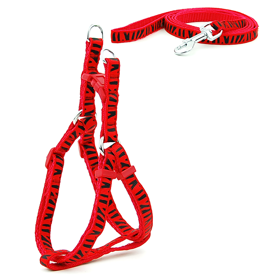 Petit chien chat harnais laisse gilet réglable collier chiot marche en plein air Chihuahua Terier Schnauzer