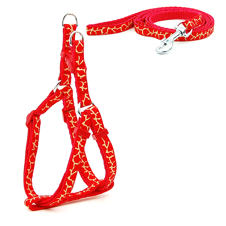 Petit chien chat harnais laisse gilet réglable collier chiot marche en plein air Chihuahua Terier Schnauzer