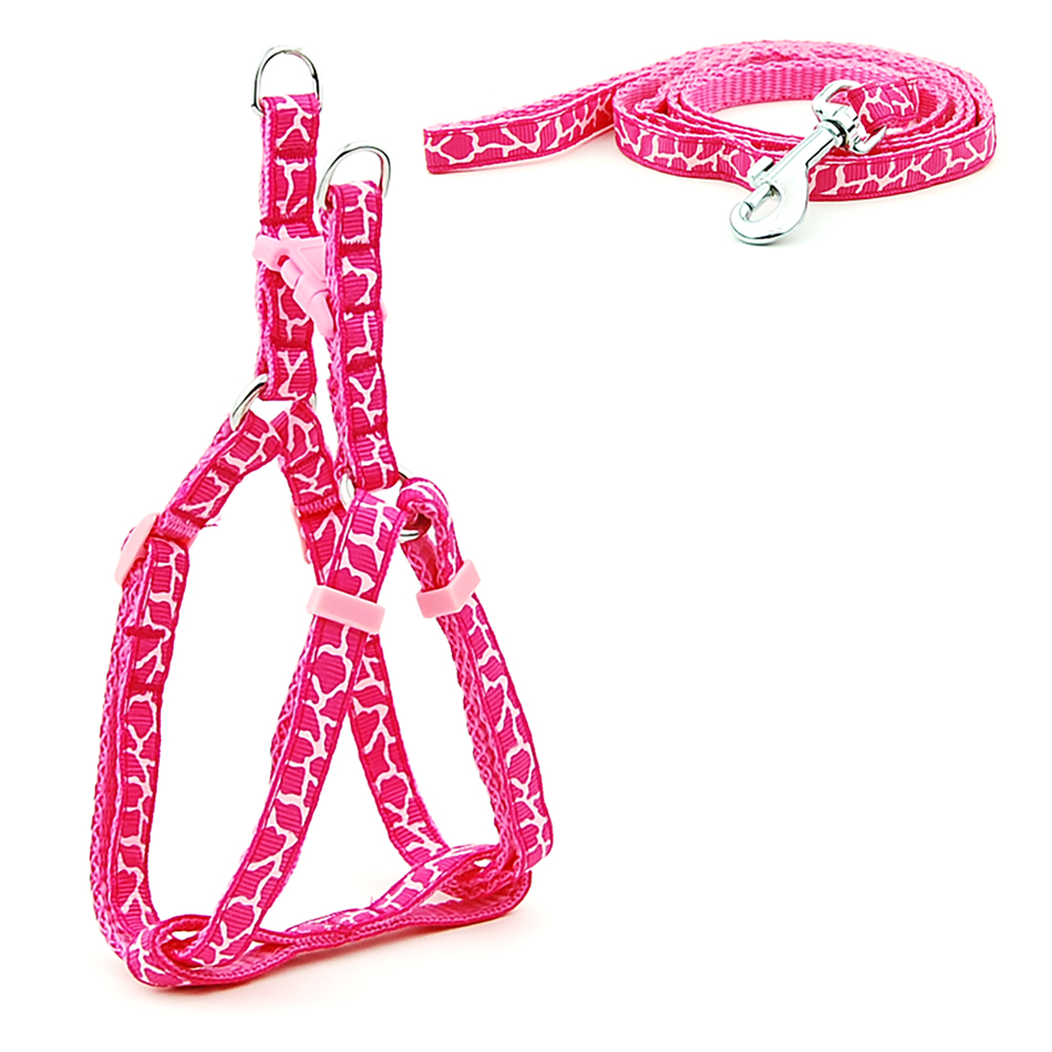 Petit chien chat harnais laisse gilet réglable collier chiot marche en plein air Chihuahua Terier Schnauzer