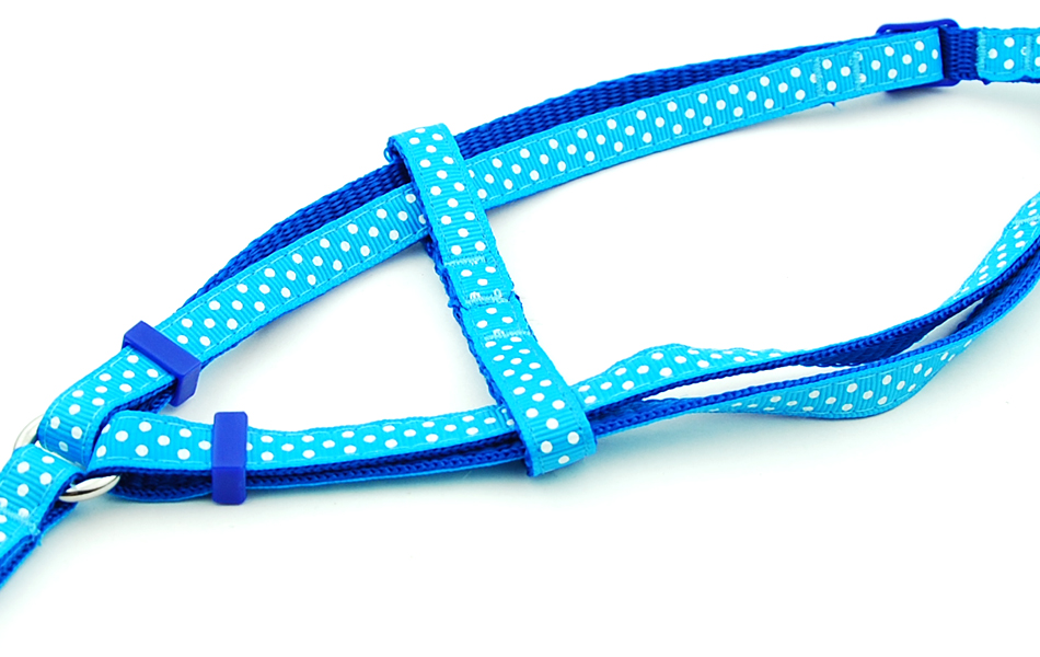 Petit chien chat harnais laisse gilet réglable collier chiot marche en plein air Chihuahua Terier Schnauzer