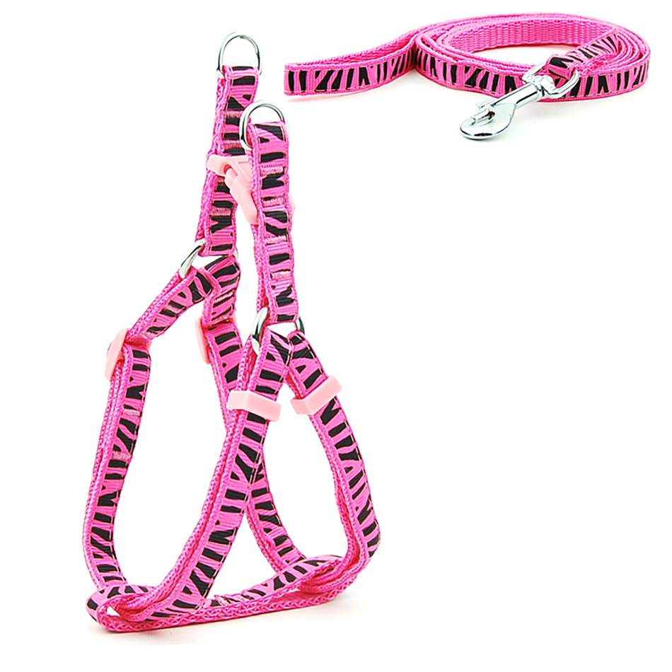 Petit chien chat harnais laisse gilet réglable collier chiot marche en plein air Chihuahua Terier Schnauzer