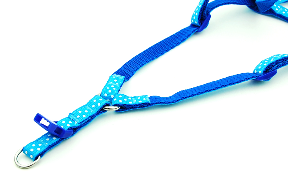 Petit chien chat harnais laisse gilet réglable collier chiot marche en plein air Chihuahua Terier Schnauzer