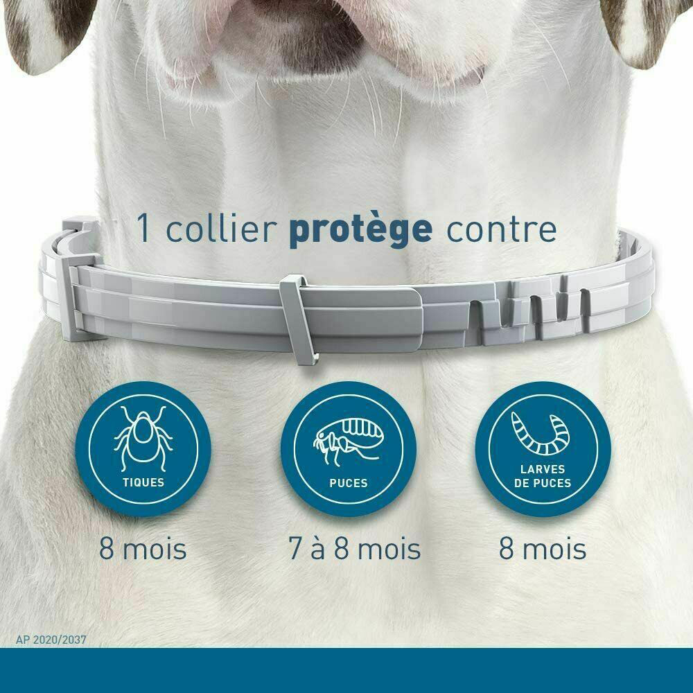 Collier anti-puces pour chiens et chats
