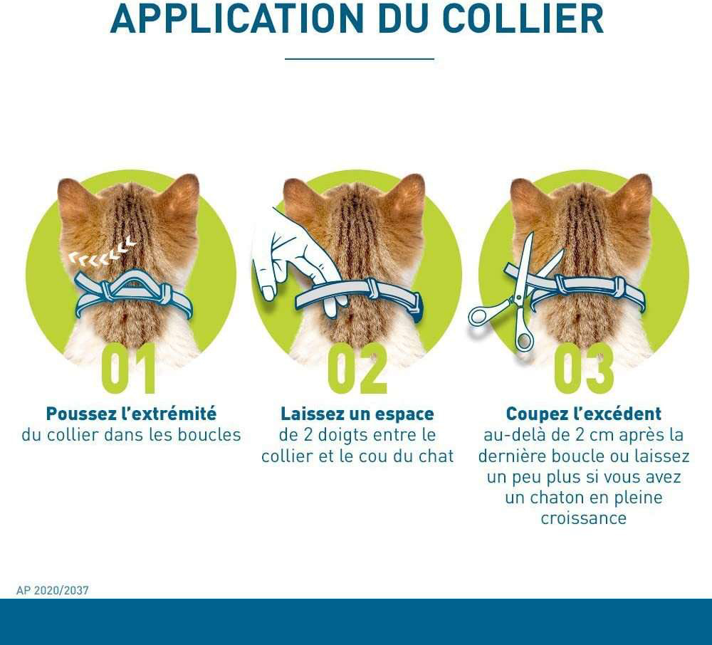 Collier anti-puces pour chiens et chats