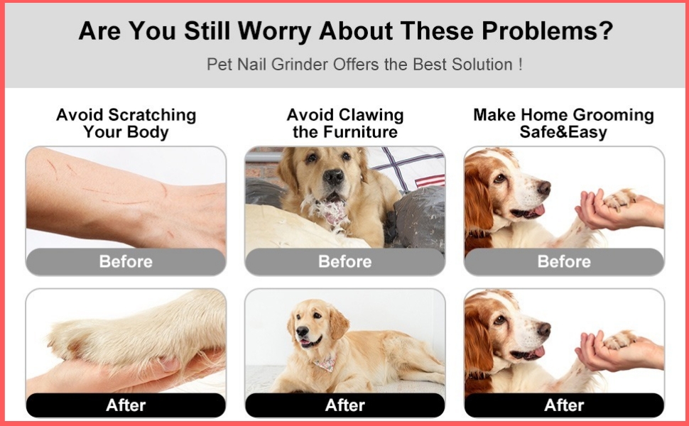 Tondeuse professionnelle