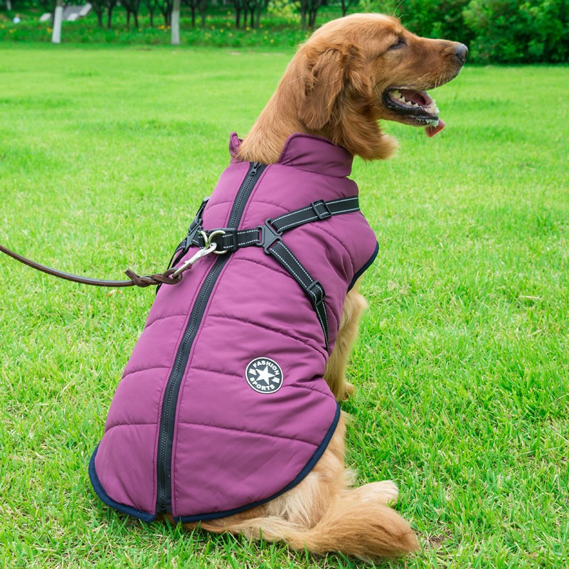 Vêtements d'hiver pour chiens Vêtements d'hiver pour chiens