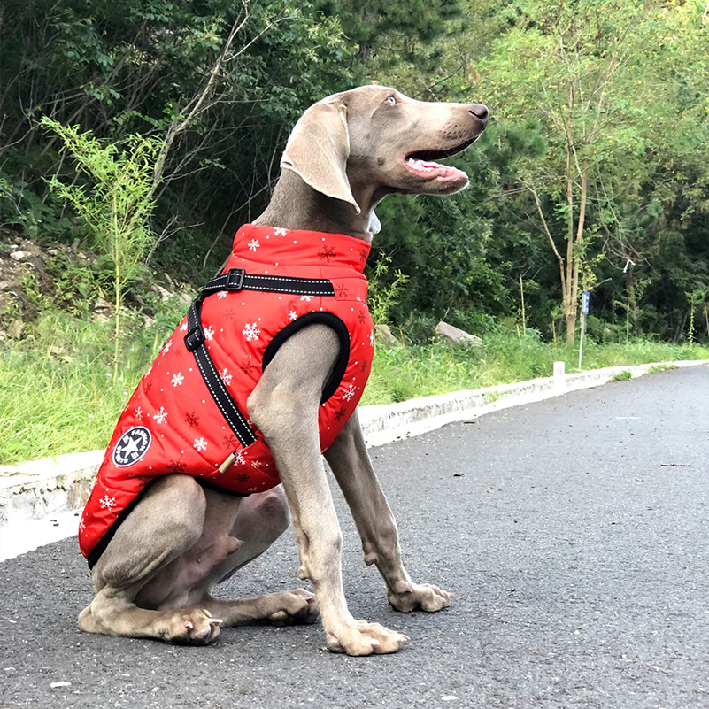 Vêtements d'hiver pour chiens Vêtements d'hiver pour chiens