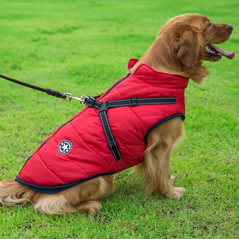 Vêtements d'hiver pour chiens Vêtements d'hiver pour chiens