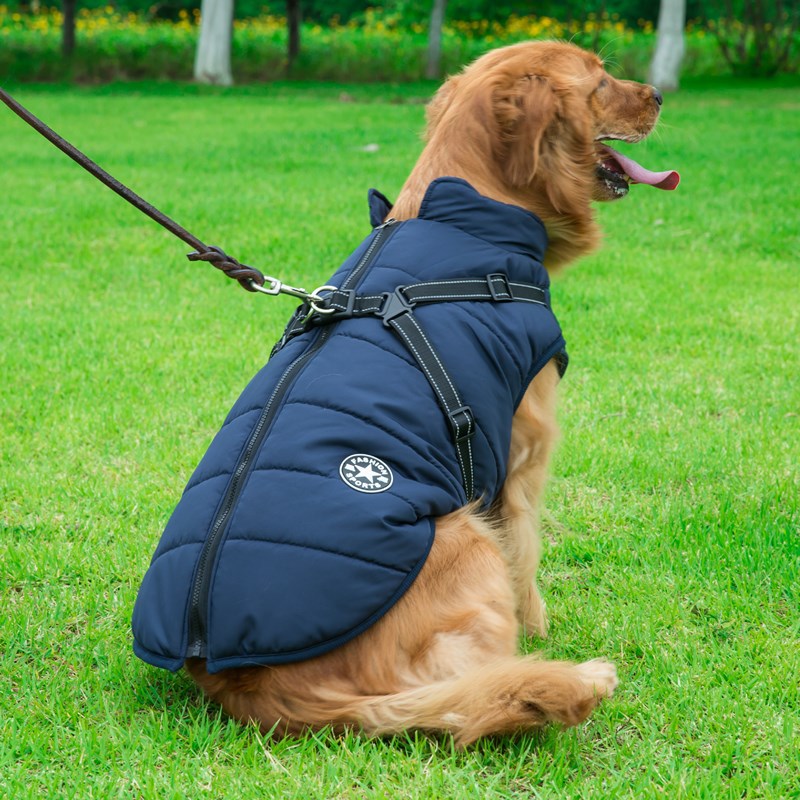 Vêtements d'hiver pour chiens Vêtements d'hiver pour chiens