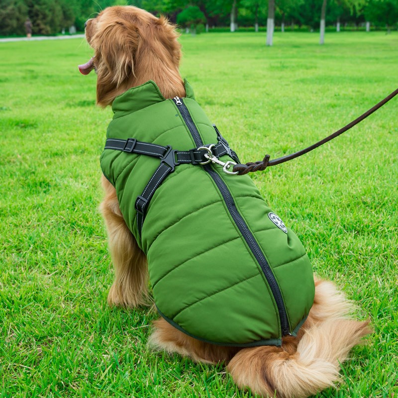 Vêtements d'hiver pour chiens Vêtements d'hiver pour chiens