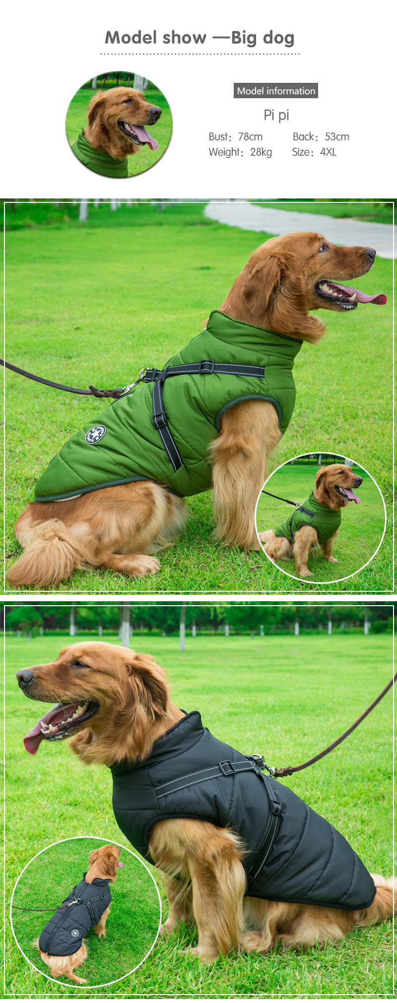 Vêtements d'hiver pour chiens Vêtements d'hiver pour chiens